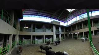 CÁMARA 360° RETOZADEROS Y CORRALETAS de Rancho La Misión [upl. by Pren347]