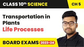 Transportation in Plants  Life Processes  Class 10 Science Chapter 5 [upl. by Gad773]