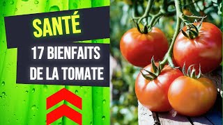 17 Bienfaits de la Tomate 🍅  tomate grappe [upl. by Neomah]