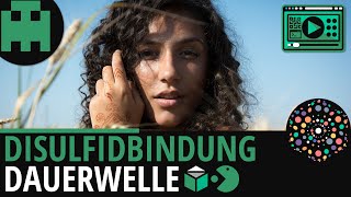 Dauerwelle Disulfidbindung │Biologie Lernvideo Learning Level Up [upl. by Robby]