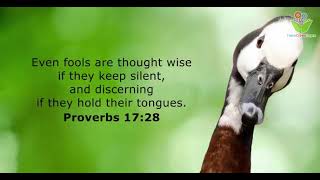 Even fools are thought wise bible quotes christ proverbs thinkcreatelearn [upl. by Nosyt]