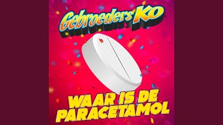 Waar Is De Paracetamol [upl. by Notffilc538]