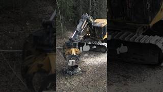 Putting a log on the fire 870c tigercat campfire forestry logger heavyequipment machinery [upl. by Arelc]