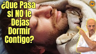 😱 ¿QUE PASA SI NO DEJO QUE MI GATO DUERMA CONMIGO 😱 [upl. by Aillimac]