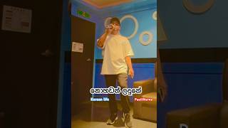 Nohadan Ladune 🥲 නොහඩන් ලදුනේ Punsiri Soysa Song Cover Voice paaliwarna karaoke ytshorts 🎶🥲❤️ [upl. by Campball985]