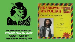 Mkandawire Wapolina  Straight From My Heart Full Album  Zambian RootsDigi Reggae [upl. by Norreg912]