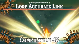 The Scourge of Hyrules Evil Lore Accurate Link Compilation 48 [upl. by Elik]