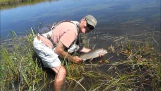 Fly Fishing Goodrich Creek at Lake Almanor Basin [upl. by Kcuhc163]