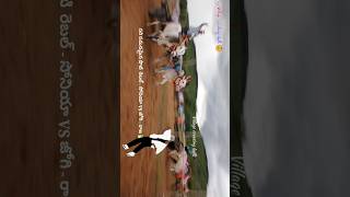 In janakampalli Bullock Cart race subscribe shorts viralvideo villagecreatingbulls [upl. by Marmaduke82]