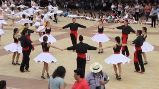 Sardana quotGent dempentaquot X Forcada Colla Xàldiga Lleida 11514 [upl. by Aileme]