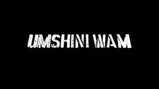 Die Antwoord  Umshini Wam [upl. by Tilden]