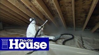 How to Clean Up Attic Mold  This Old House [upl. by Lubbi]