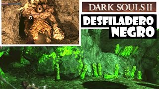 Dark Souls 2 guia DESFILADERO NEGRO  Gigantes llave olvidada y pacto peregrinos oscuridad  Ep41 [upl. by Ennad]