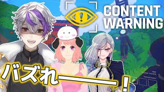 【Content Warning】万バズの4人 w秋月美紅・らいむぎ とろろ・あぼーん【新人vtuber】 [upl. by Victoria]