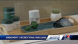 Amendment 3 Florida voters to decide on legalization of recreational marijuana [upl. by Kliber339]