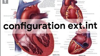 UNITE 1Cardio respiratoireANATOMY configuration extet int du cœur2éme année médecine [upl. by Malvie]