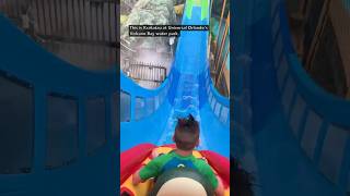 Top 5 rides RANKED at Universal Orlando waterpark 🤯 shorts universalstudios volcanobay [upl. by Ahsart]