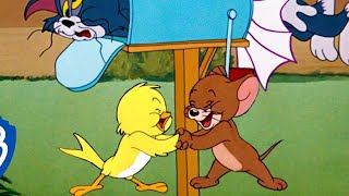 Tom amp Jerry New cartoon video।। new episode।।cartoon video।। kids fun।। video [upl. by Yhtak]