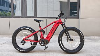 1000W Middle drive 210nm torque electric bike name Wild Cat [upl. by Retsehc]