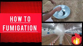 Fumigation process in ec poultry farm 👉👉👍👍 [upl. by Ynnos114]