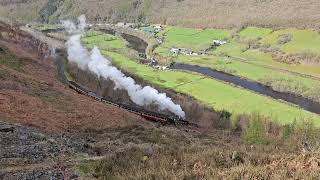 No7 quotOwain Glyndwrquot climbing through Cwm Rheidol on the Vale of Rheidol Railway 29324 [upl. by Radley]