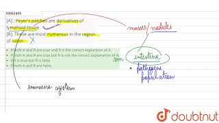 A  Peyer s patches are derivatives of lym phoid tissue R These are most numerous [upl. by Estele]