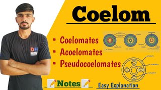 Coelom amp Its Types In Hindi  Coelomates  Acoelomates  Pseudocoelomates  By Dadhich Sir [upl. by Hada]