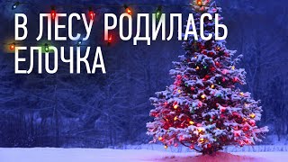 🎄 В лесу родилась Ёлочка  детская новогодняя песня [upl. by Ahsaz]