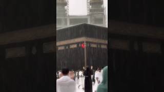 Rain in Makkah Sharif 🕋 ytshorts shorts rain makkah [upl. by Nostets251]