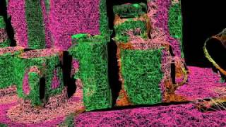 Surface Triangulation and Point Cloud Classification [upl. by Suoirrad]