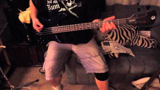 Spector tone on Used Korean Bass [upl. by Meeka]