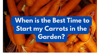 When is the Best Time to Start my Carrots in the Garden [upl. by Elleirad]