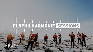 Elbphilharmonie Sessions  MEUTE live on the Rooftop [upl. by Annhoj]