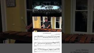 best marimba lick in WGI24 how Rhythm X auditions marimba players must learn absolute 🔥🔥🔥 [upl. by Silisav]