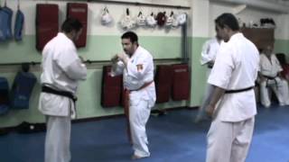 Masterclass Akira Masuda FreeStyle Karate 17052012 [upl. by Nahtanohj]