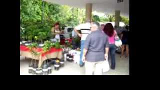 San Sebastian Puerto Rico Pulguero Market [upl. by Ummersen798]