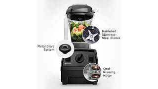 Vitamix E310 Blender Review Is It Worth the Hype [upl. by Tterab317]