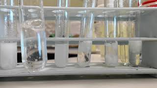 Qualitative analysis of cations part 2 [upl. by Burnight384]