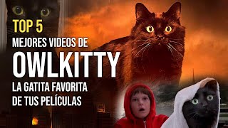 ¿Quién es OWLKITTY TOP 5 de sus MEJORES VIDEOS [upl. by Easton37]