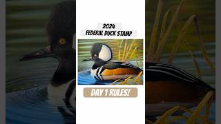 Day 1 Rules for the Federal Duck Stamp Competition duckhunting waterfowl birds birdslover [upl. by Laing980]