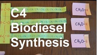 Biodiesel Synthesis [upl. by Esinrahc]