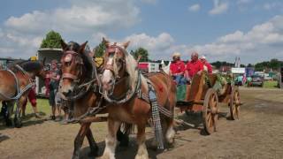 Titanen der Rennbahn 2016 Schlaglichter [upl. by Namrehs517]