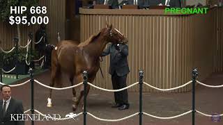 Keeneland Live Feed [upl. by Kalbli40]