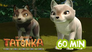 1H de Tatonka 🐺 Nouvelle Compilation  Dessins animés en Français [upl. by Nnaes]