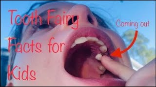 Tooth Fairy Facts for Kids [upl. by Coray109]