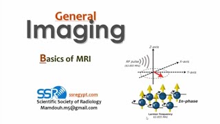 0 MRI Basics TEC Prof Mamdouh Mahfouz [upl. by Ratep]