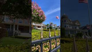 AMAZING Lilacs Gardens on Mackinac Island Lilac Festival 2024 mackinacisland gardentour flowers [upl. by Diarmid901]