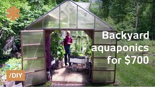 Backyard aquaponics DIY system to farm fish with vegetables [upl. by Hilaria]