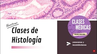 HISTOLOGÍA DEL TEJIDO EPITELIAL SEGUNDA PARTE [upl. by Steffi330]