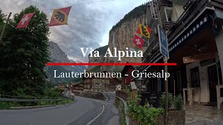 Hiking the Via Alpina Trail 12 Lauterbrunnen  Griesalp Switzerland 4k [upl. by Mathian]